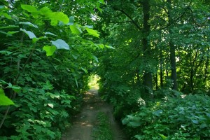 Прогулки по Казани — сказка в центре мегаполиса